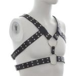 BDSM harness